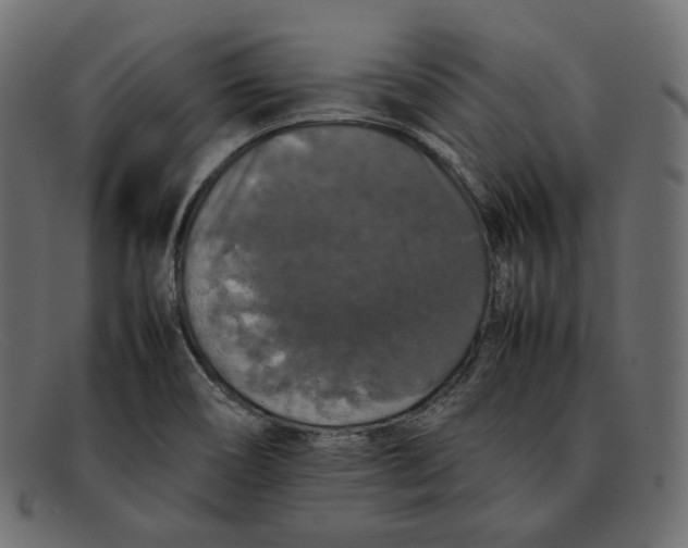 X0000092061466200710101025