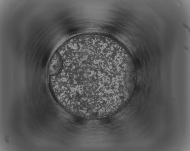 X0000092061467200710101025