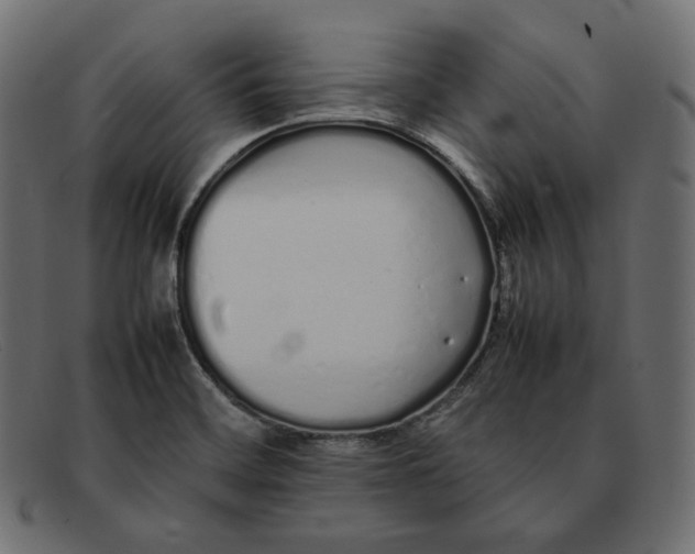 X0000092061468200710101025