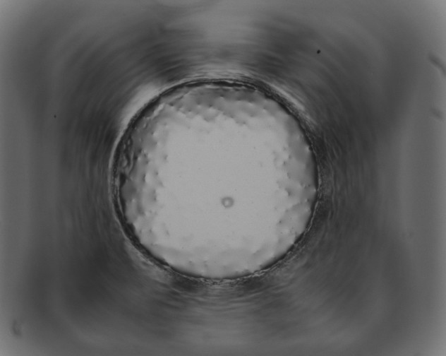 X0000092061471200710101025