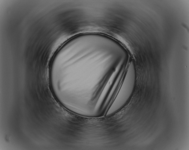 X0000092061472200710101025