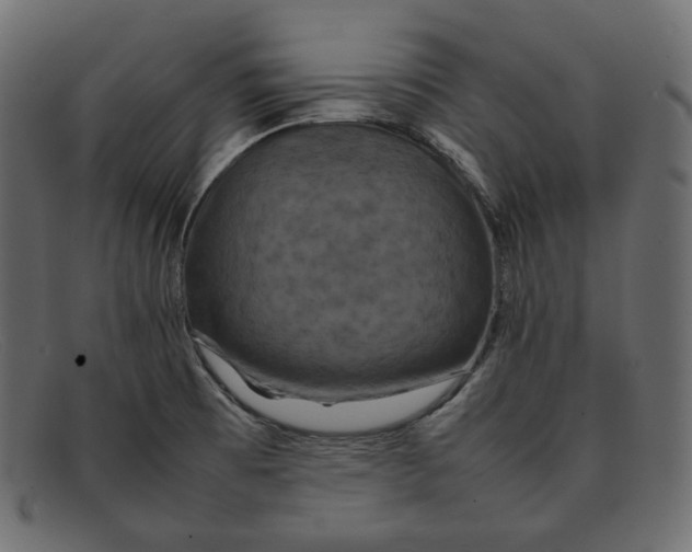 X0000092061473200710101025