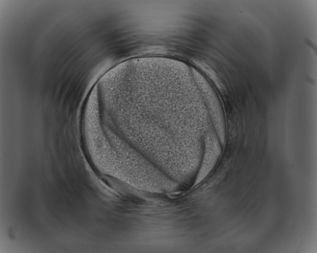 X0000092061475200710101025