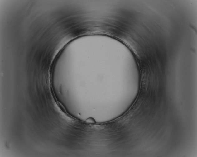 X0000092061476200710101025