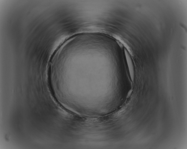 X0000092061477200710101025