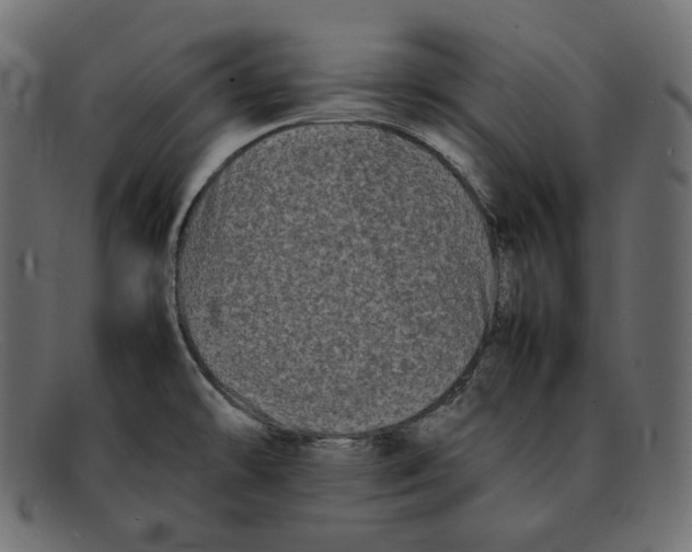 X0000092061478200710101025