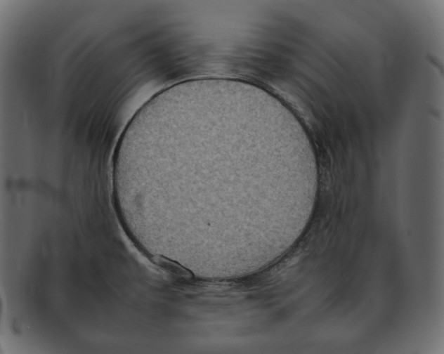 X0000092061479200710101025