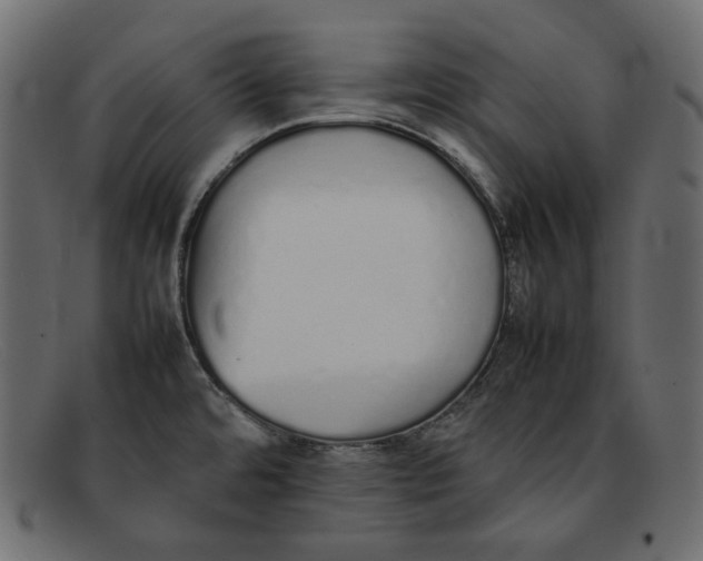 X0000092061480200710101025