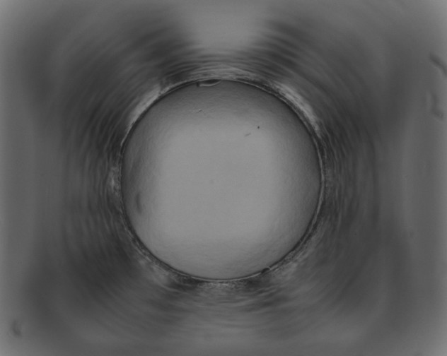 X0000092061481200710101025