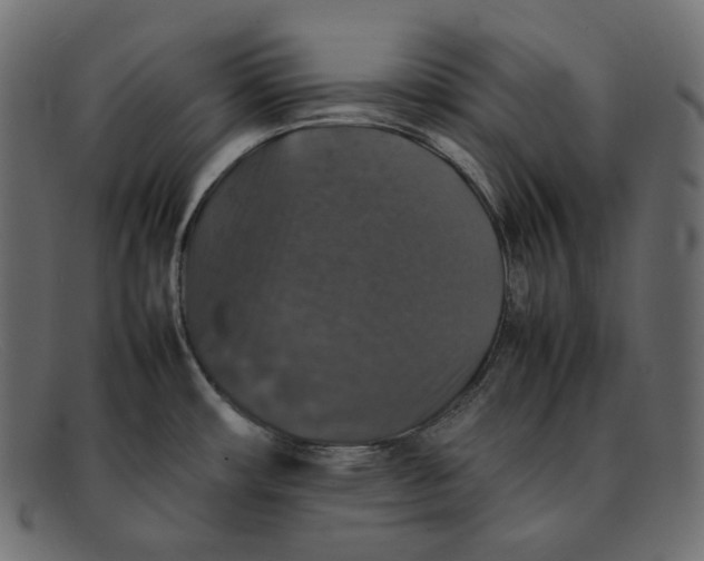 X0000092061482200710101025