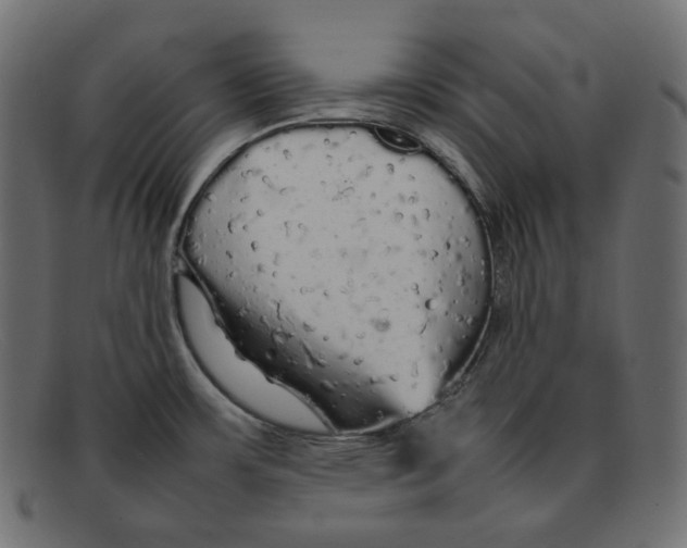 X0000092061483200710101025