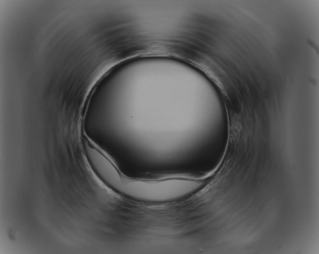 X0000092061484200710101025