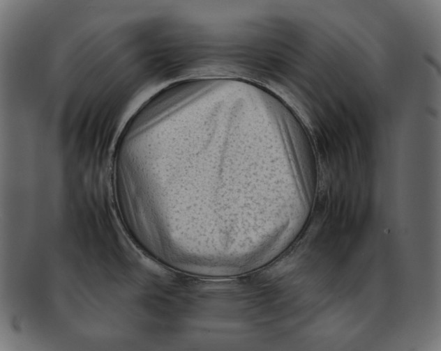 X0000092061486200710101025