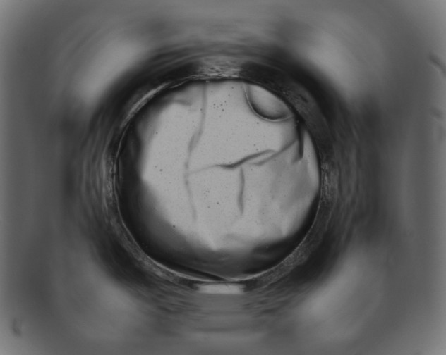 X0000092061487200710101025