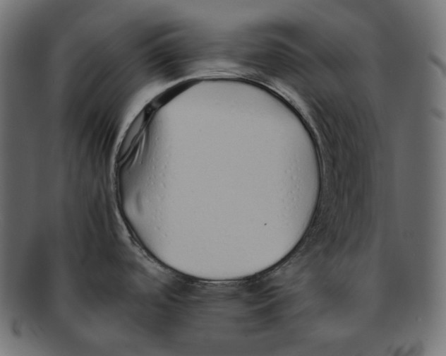 X0000092061488200710101025