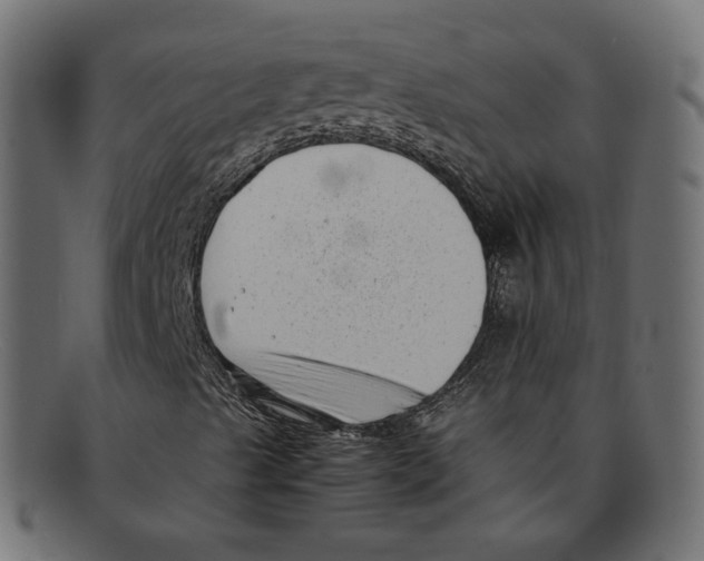 X0000092061489200710101024