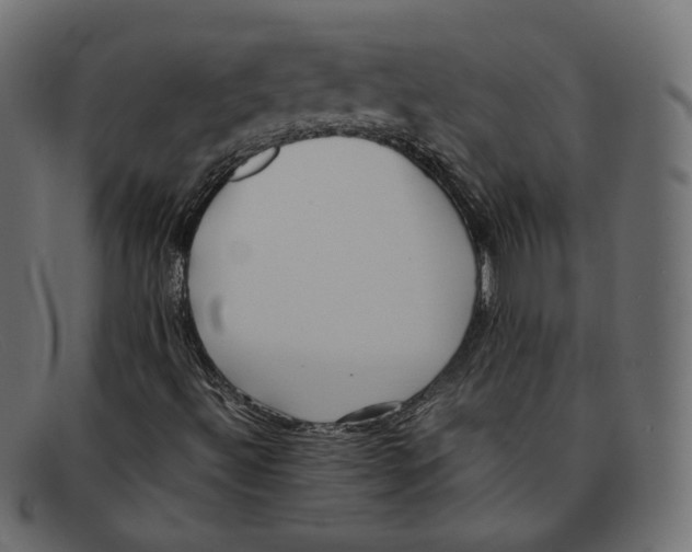 X0000092061492200710101024