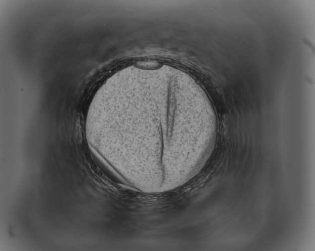 X0000092061493200710101024