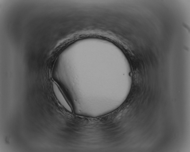 X0000092061494200710101024