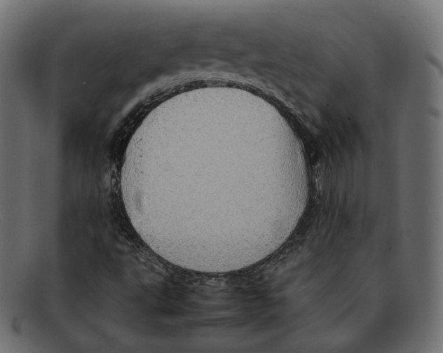 X0000092061495200710101024