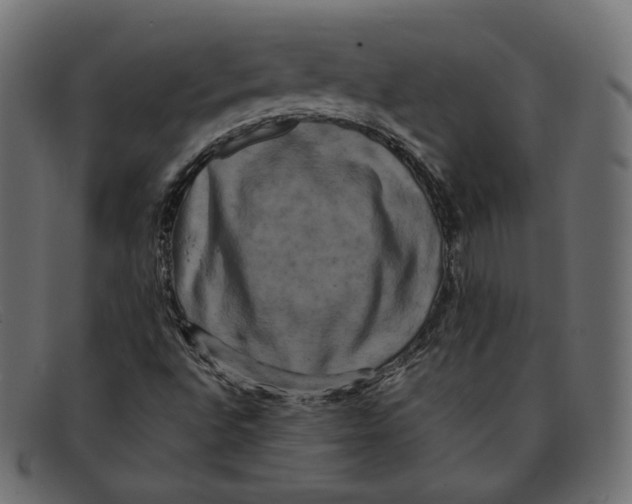 X0000092061496200710101024