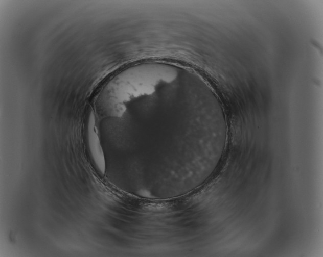 X0000092061497200710101024