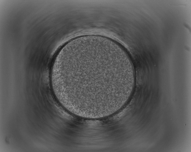 X0000092061498200710101024