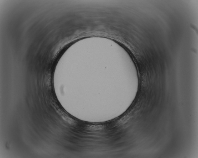 X0000092061499200710101024