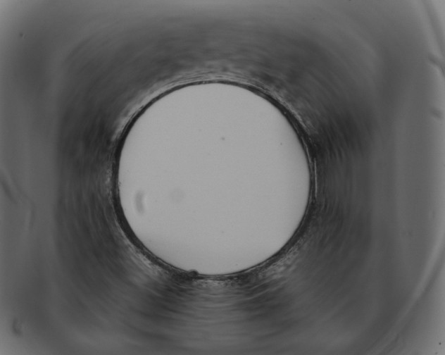 X0000092061500200710101024