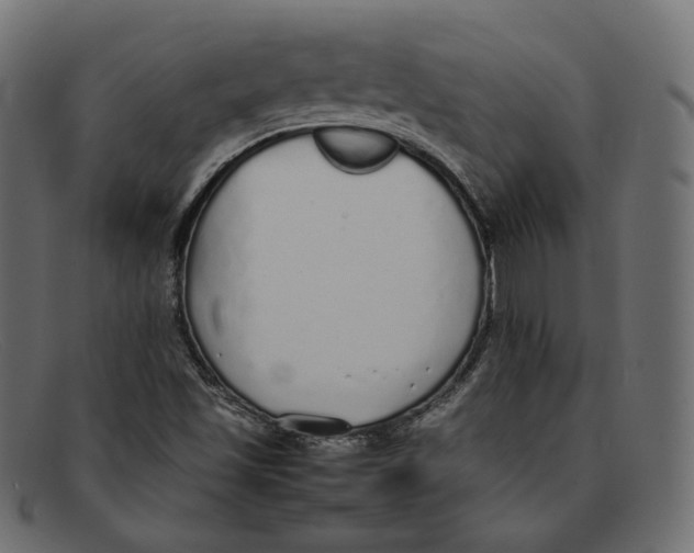 X0000092061501200710101024