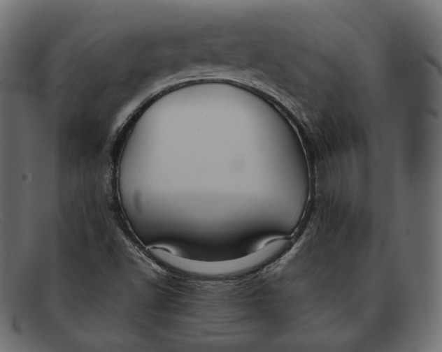 X0000092061502200710101024