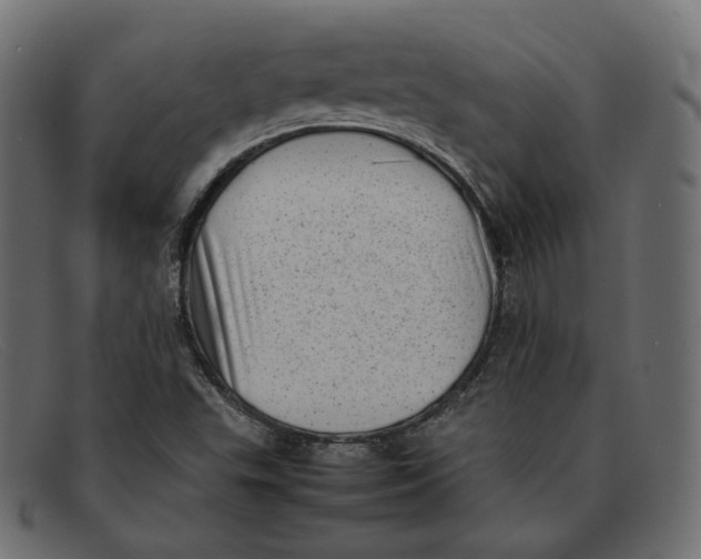 X0000092061503200710101024