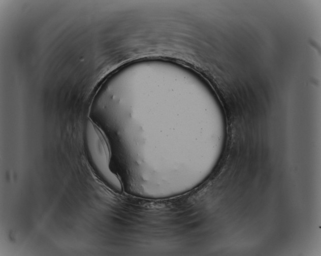 X0000092061505200710101024