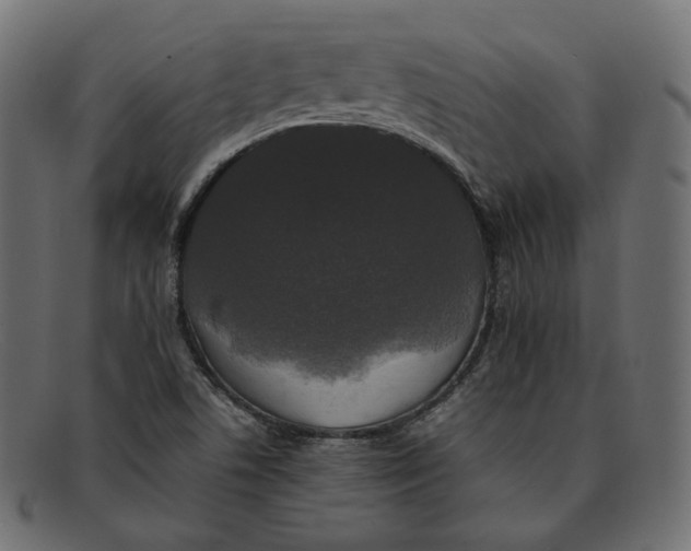 X0000092061506200710101024