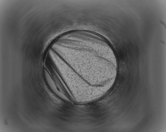 X0000092061507200710101024