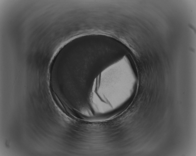 X0000092061508200710101024