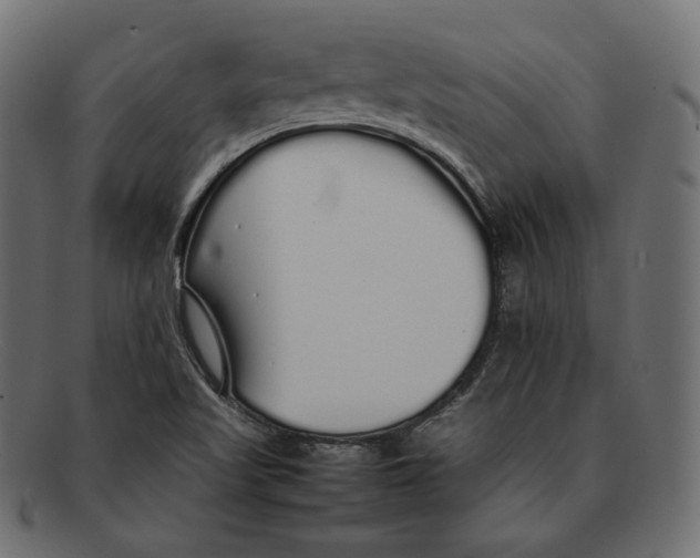 X0000092061509200710101024