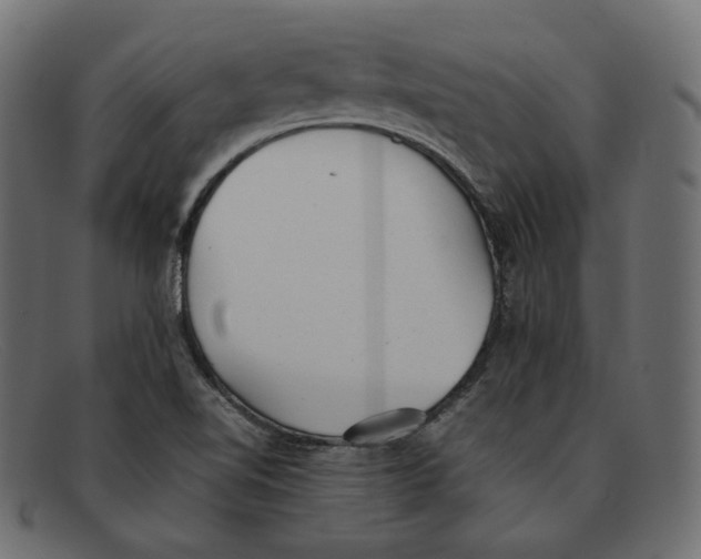 X0000092061510200710101024