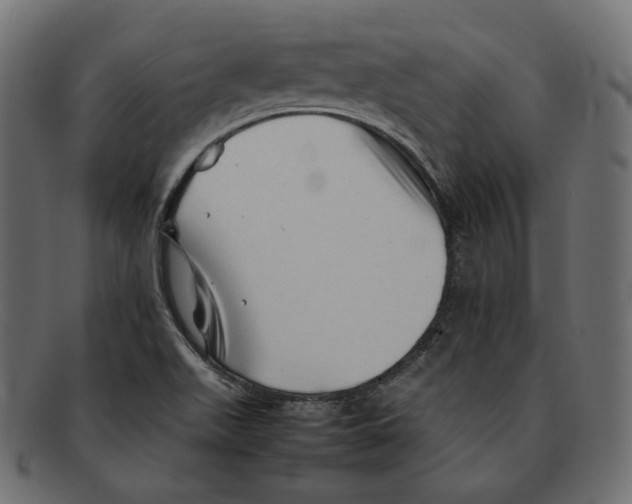 X0000092061511200710101024