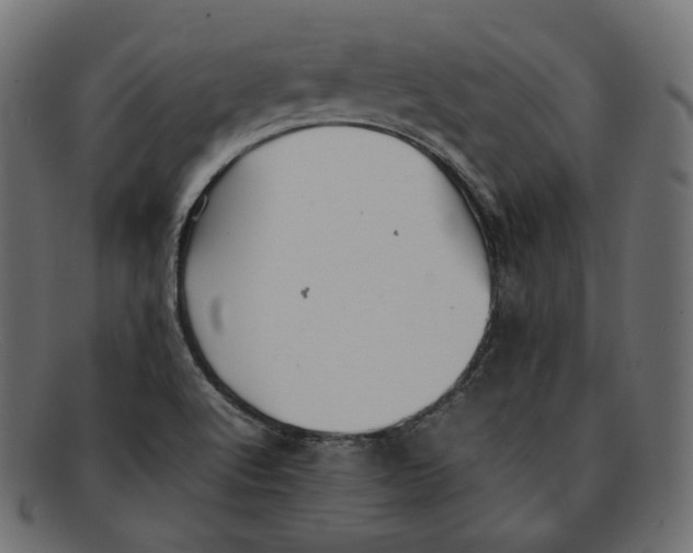 X0000092061512200710101024