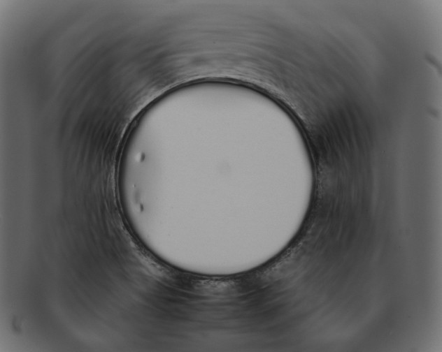 X0000092061513200710101024