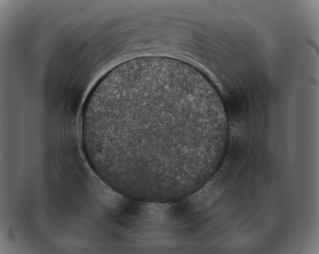 X0000092061514200710101024