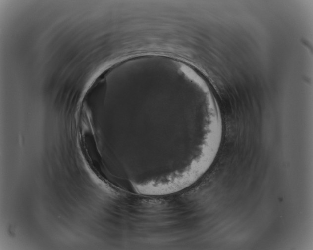 X0000092061515200710101024