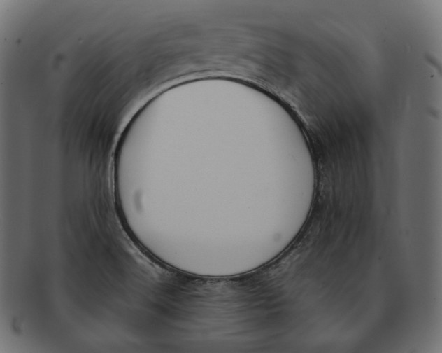 X0000092061516200710101024