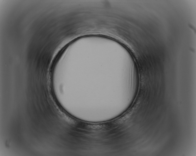 X0000092061517200710101024