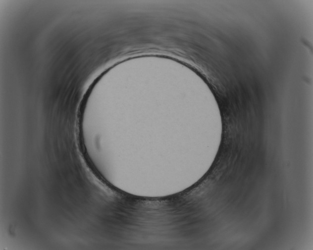 X0000092061518200710101024