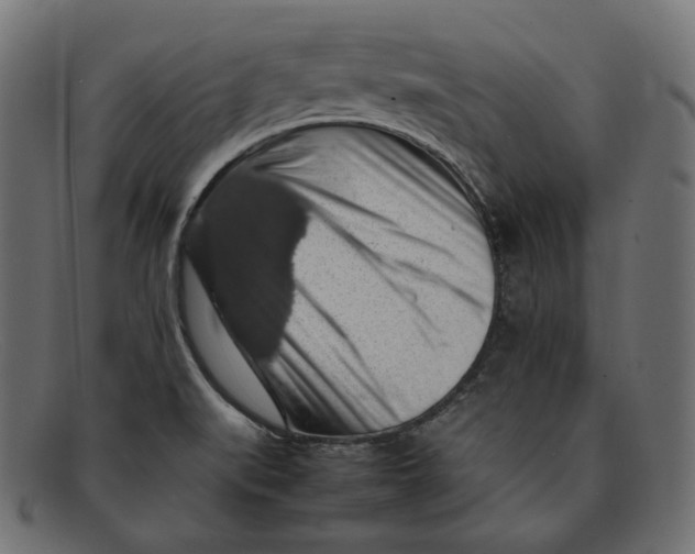 X0000092061519200710101024