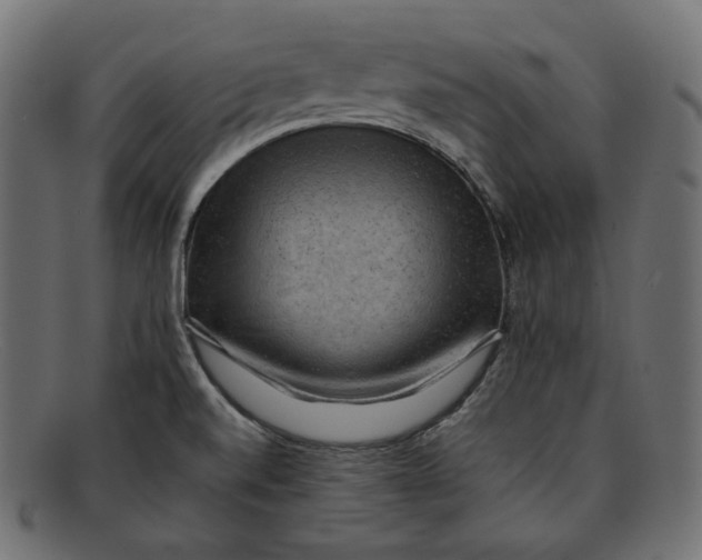 X0000092061520200710101024