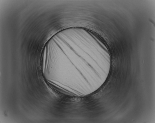 X0000092061521200710101024