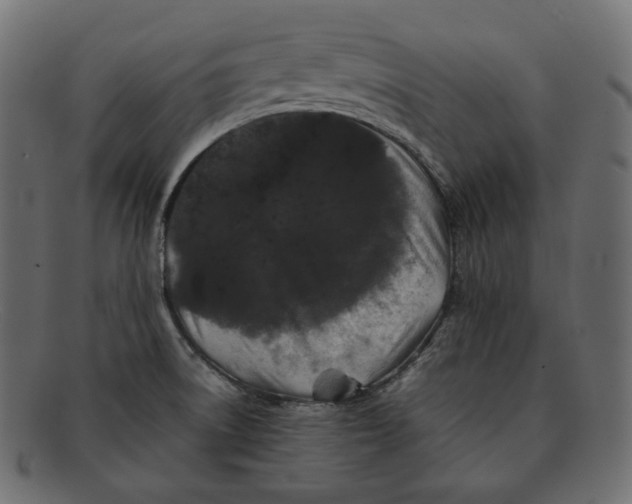 X0000092061522200710101024